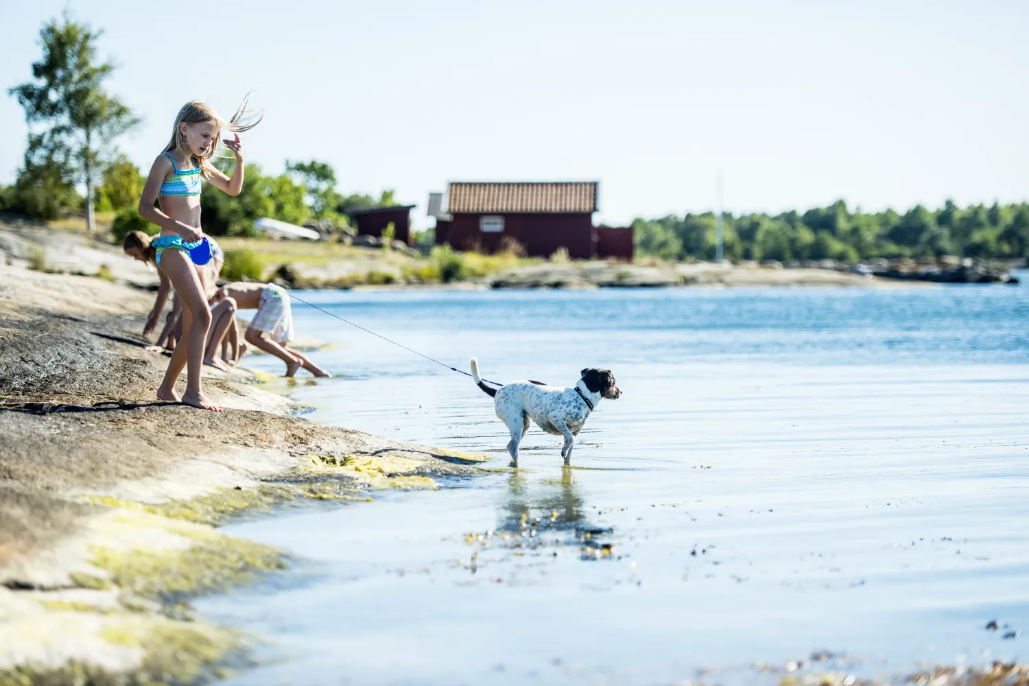 Barn och hund som badar vid klippor