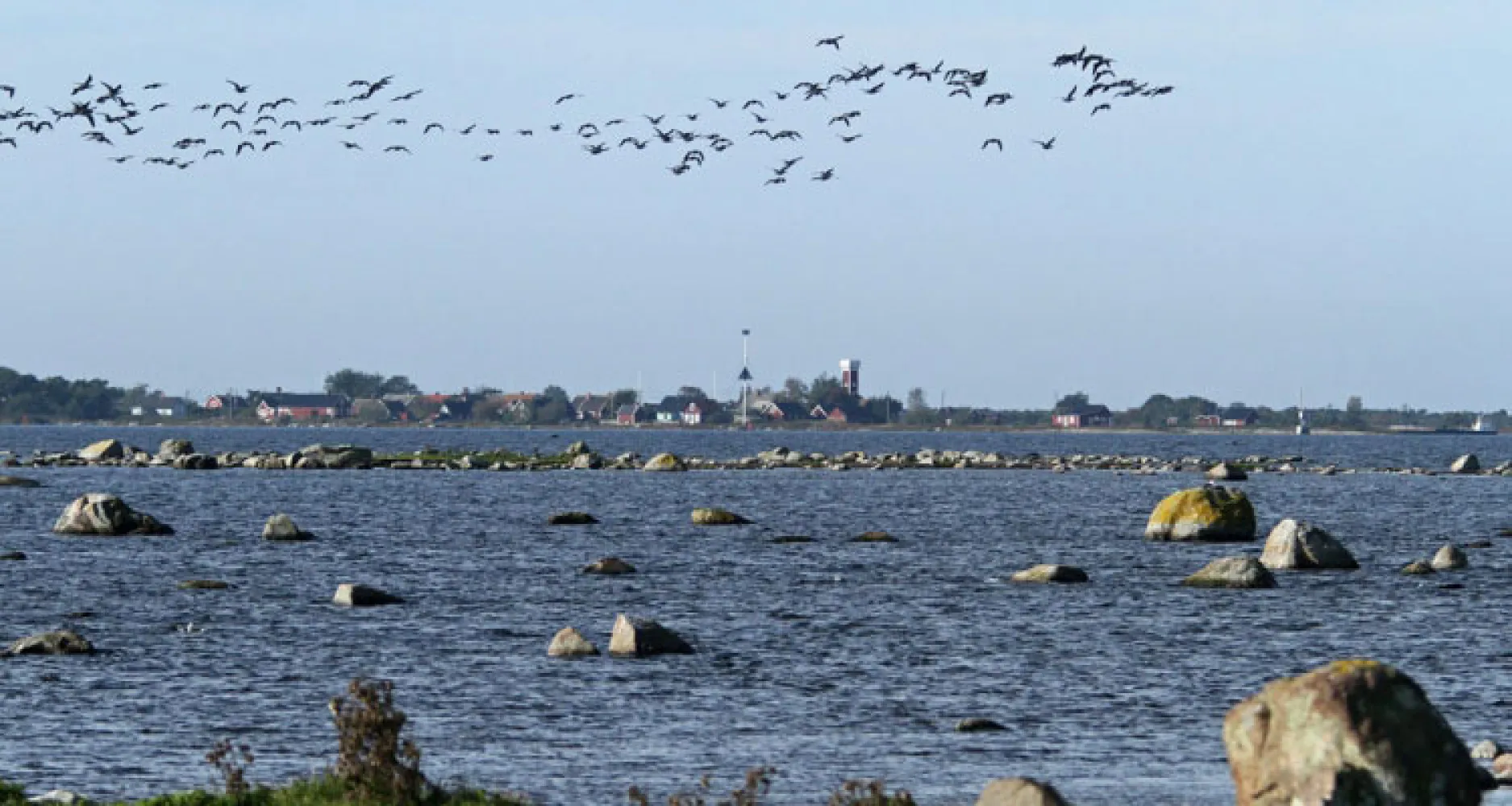 Torhamns udde med utsikt över havet och skärgården