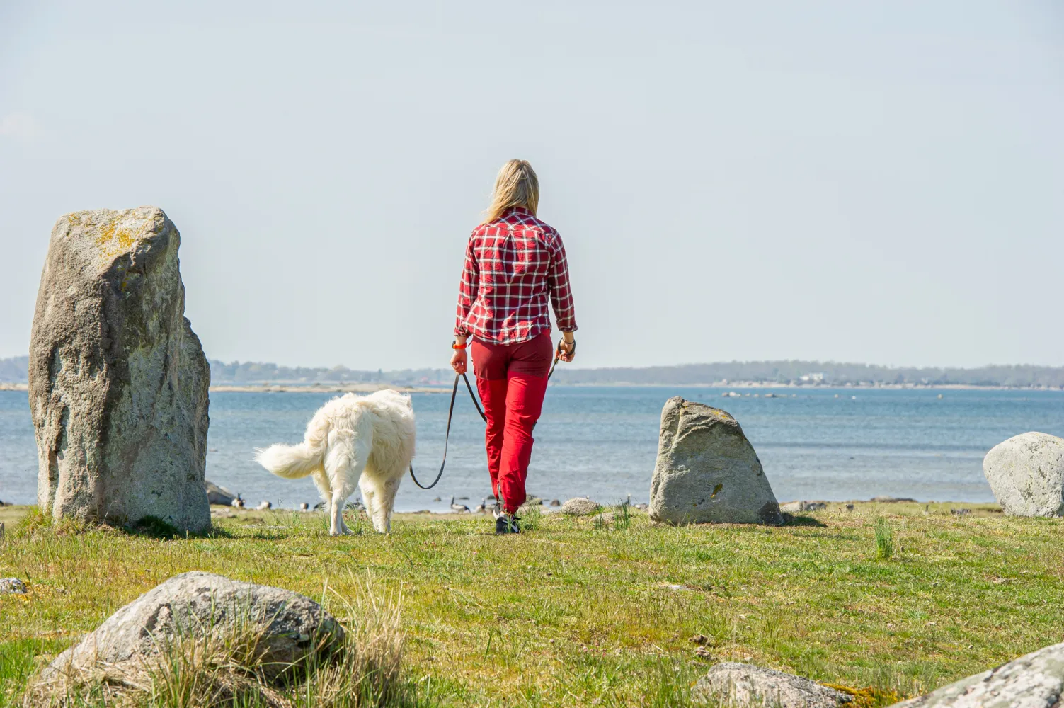 Kvinna promenerar med hund