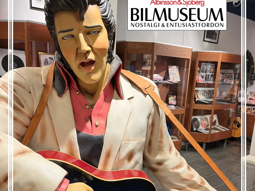 Exhibition - In the footsteps of Elvis - from cradle to grave