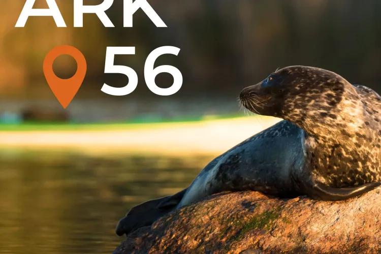 ARK56 - trails for kayaking, hiking, cycling and sailing