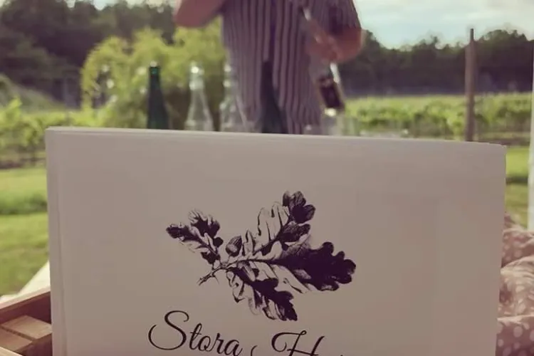 Vineyard Stora Horn