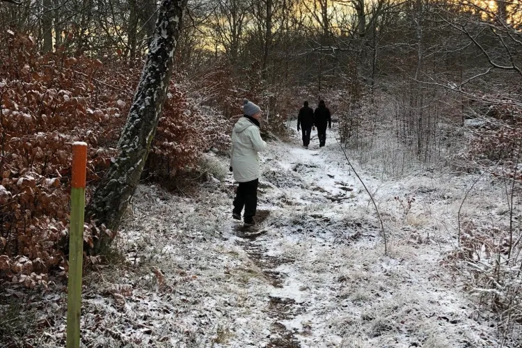 Vintervandring Skärvaleden