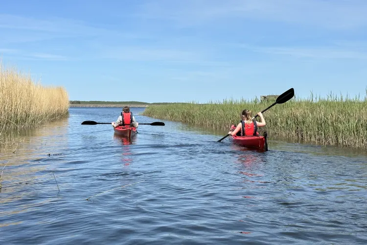 Hasslö Kayaks 