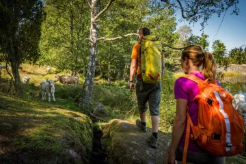 Vandrande turister i Blekinge