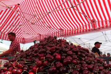 Bigarråer på lövmarknaden