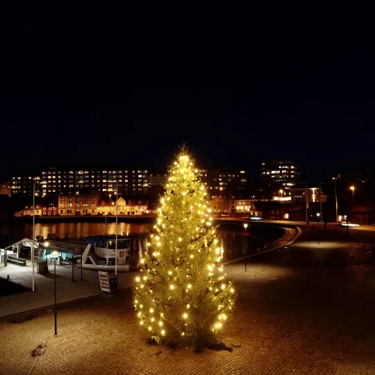 Julgran på Fisktorget i Karlskrona